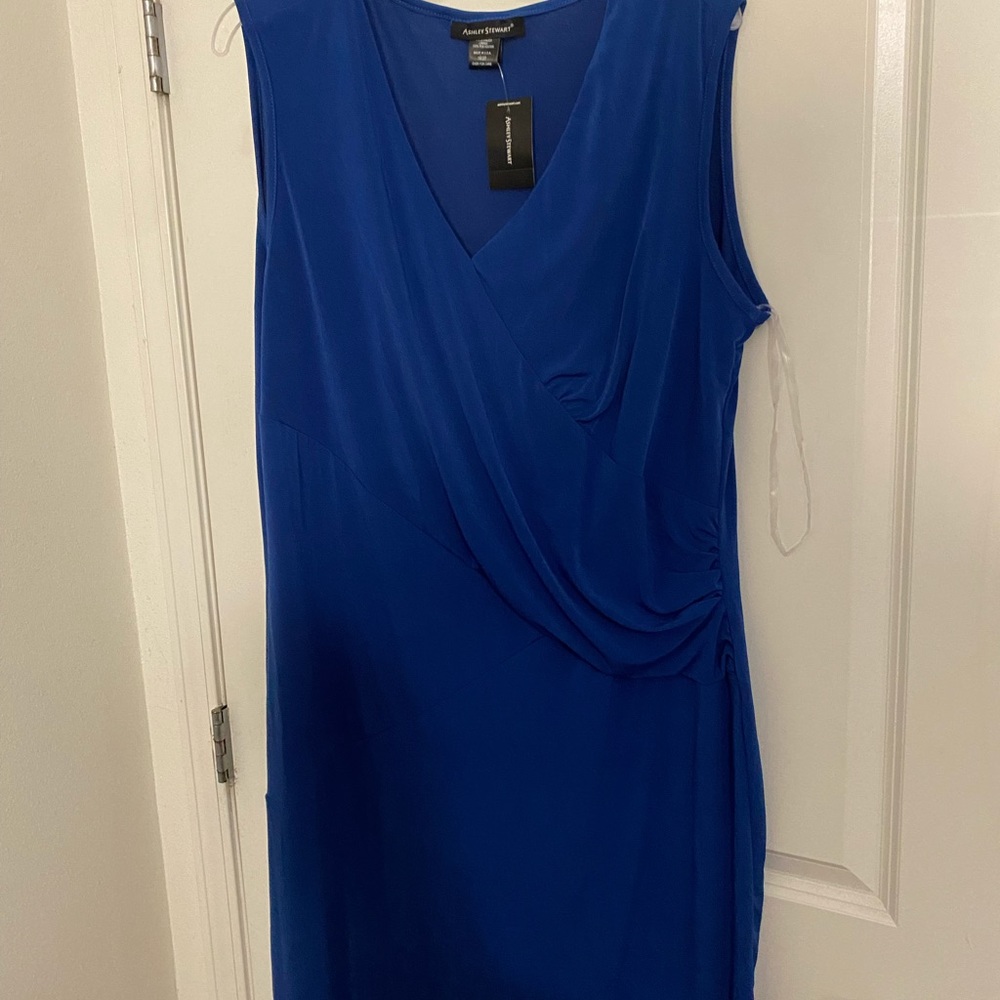 Ashley Stewart plus size cocktail dress